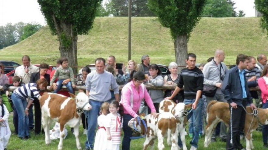 Odbačeni mljekari dobili nove ugovore