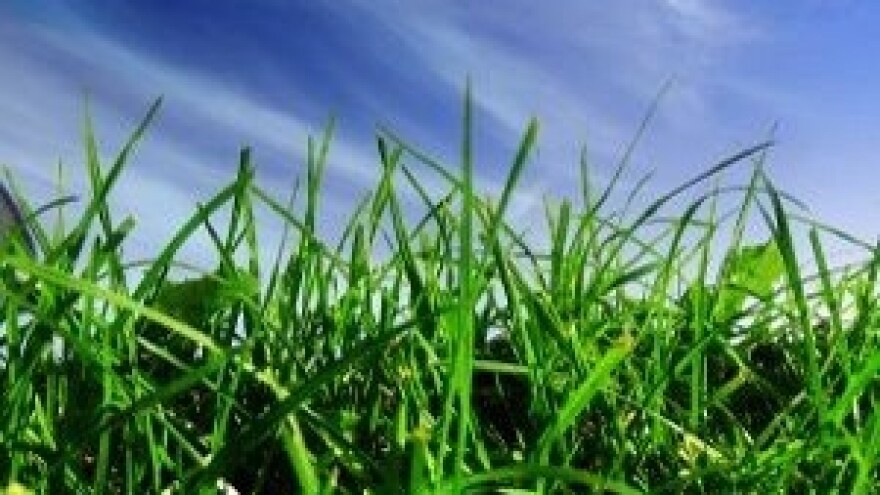 Organska poljoprivreda uz Holcim Agrocal