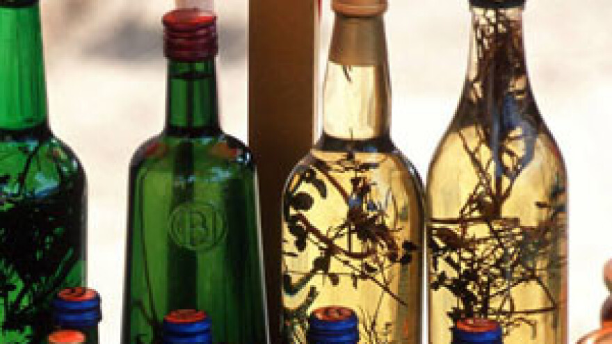 Anici Slačanac srebro za travaricu u Semeljcima