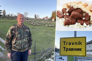 Što je zajedničko siru, bilju, Ivi i Ćiri, a nisu veziri?