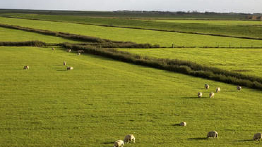 Izravna plaćanja - obveze očuvanja travnjaka