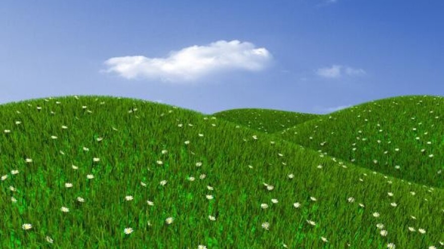 Tradicijski seoski vrt na danima travnjaka