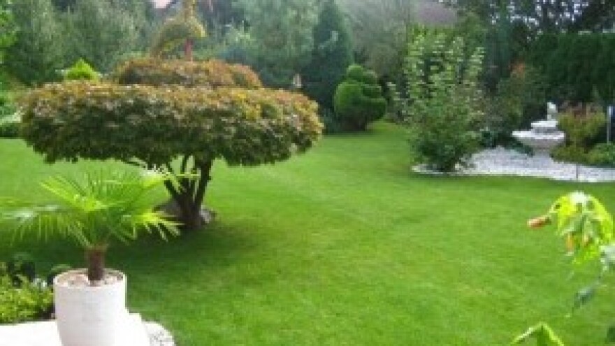 Što trebate napraviti za novi travnjak