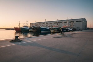 Traži se koncesionar ribarske luke u Gaženici