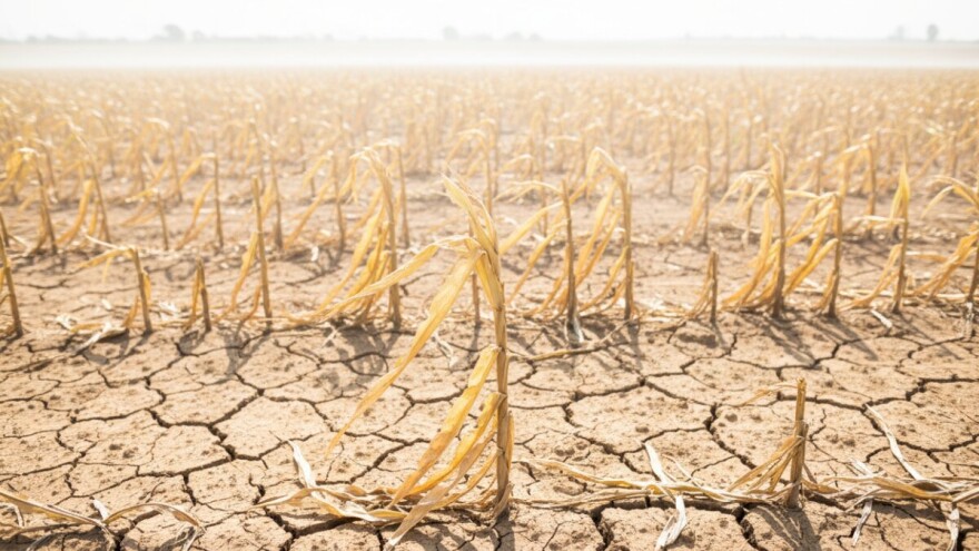 Traži se proglašenje elementarne nepogode!