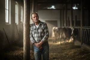 Treba li Hrvatskoj uopće domaće mlijeko?