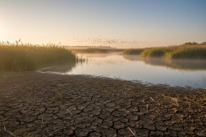 Treba zaustaviti propadanje vrijednih močvara u BiH
