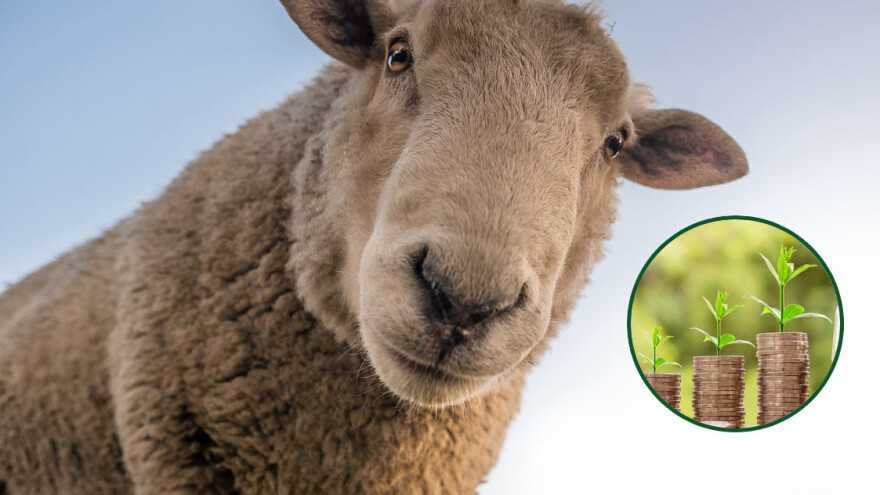 Dodjeljuju sredstva za poljoprivredne proizvođače - do 1.500 KM