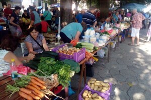 Zašto je uvozno voće i povrće jeftinije od domaćeg?