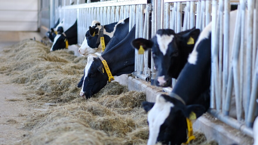Poticaj za 3. kvartal i kontrole - teme sastanka Udruženja poljoprivrednika FBiH