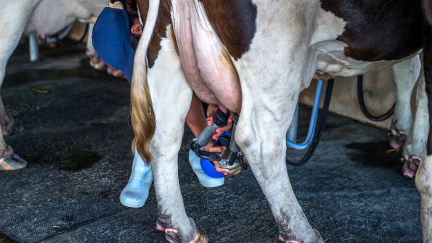 Isplata poticaja za treći kvartal krajem ove sedmice?