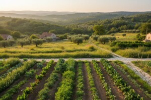 Trećina potpora za razvoj eko proizvodnje