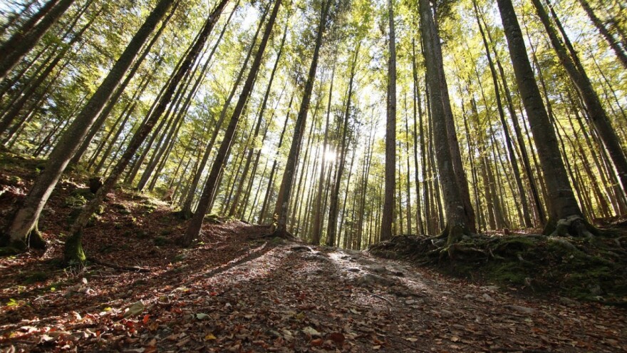 Radionice o mogućnosti korištenja potpora za provedbu tipa operacije 4.3.3