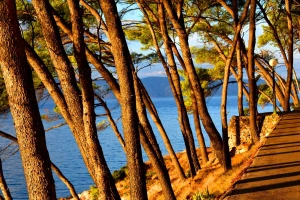 S 25. listopada premašen turistički promet ostvaren u cijeloj 2018. godini