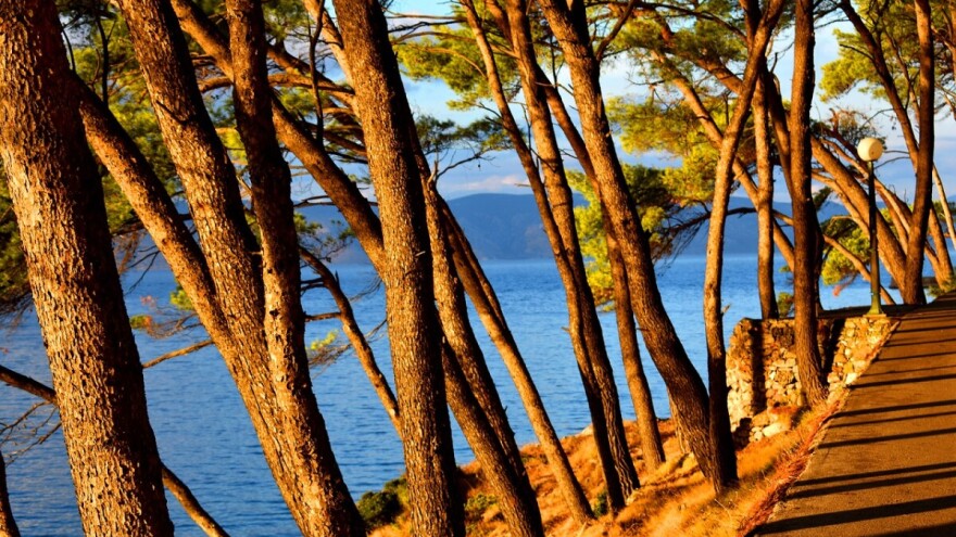 S 25. listopada premašen turistički promet ostvaren u cijeloj 2018. godini