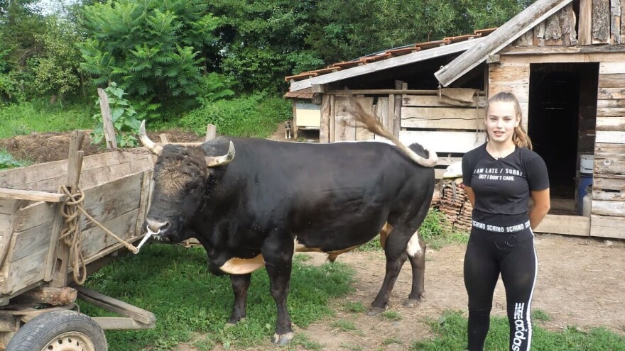 Martina Batista najbolja je kondicijska trenerica bikova u BiH!