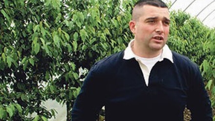 Prve trešnje prodao po 120 kuna