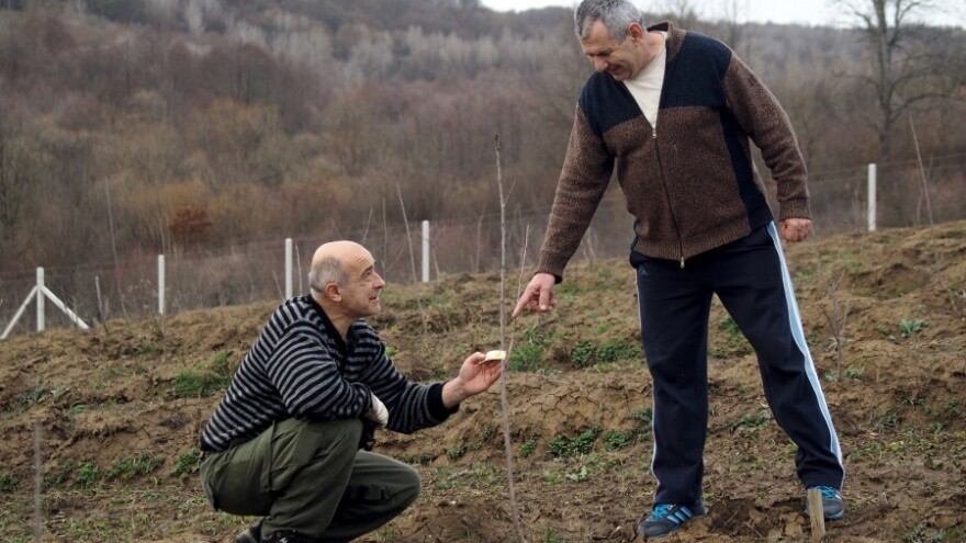 Moć zadruge: sa tako malo stvorili tako puno!