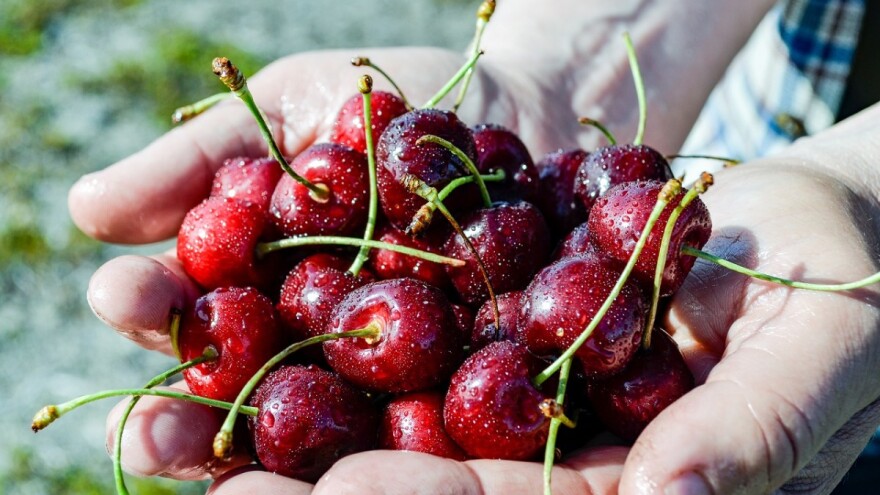 Stiv se vratija iz Merike i platija da bi gušta u krađi trišanja