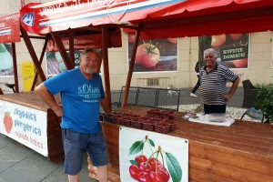 Zlatan Kljaković Gašpić: Zagrebačka trešnja na udaru globalne klime i uvoznog lobija