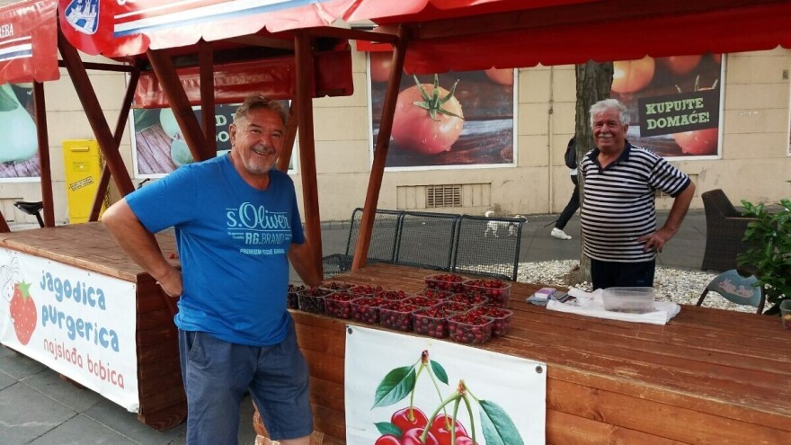 Zlatan Kljaković Gašpić: Zagrebačka trešnja na udaru globalne klime i uvoznog lobija