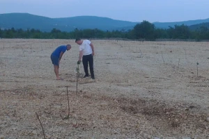 Milijun kuna za nasade trešanja