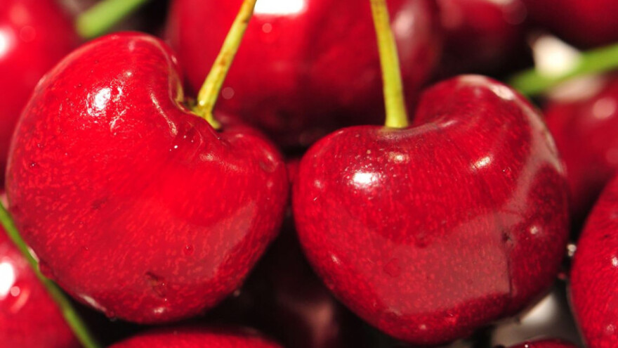 Tuča obrala španjolske trešnje