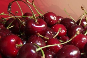 Trešnje iz Klokočevika otišle u Rusiju