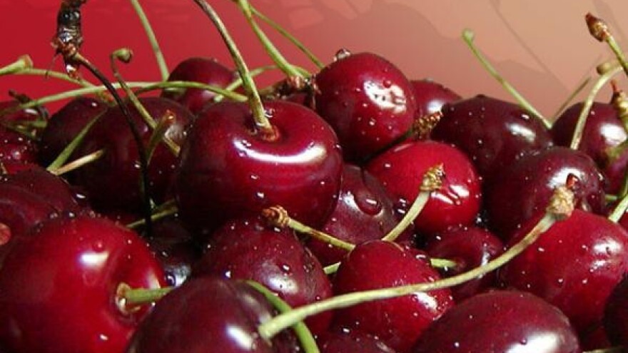 Trešnje iz Klokočevika otišle u Rusiju