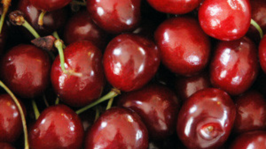 Trešnje i breskve bit će jako skupe