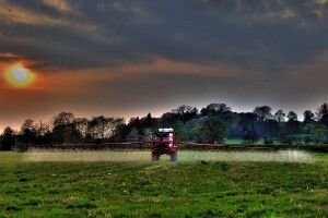 Korov otporan na herbicide? Što učiniti?