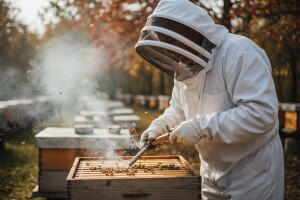 Tretiranje pčelinjih zajednica potiv varoe