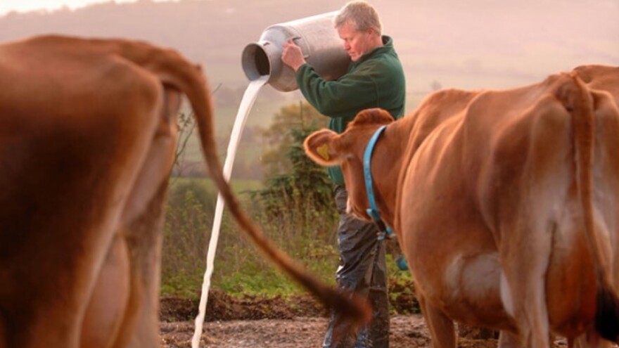Zašto Svjetska banka kreditira trgovačke lance?