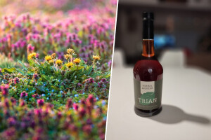 Trian - baranjski biljni liker kojeg možete napraviti sami