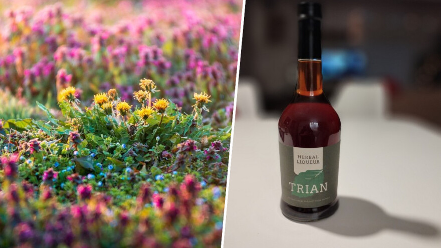 Trian - baranjski biljni liker kojeg možete napraviti sami