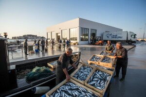 Tribunj dobio veletržnicu ribom