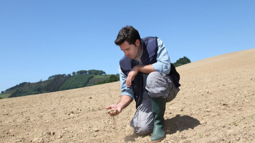 Kako dobiti potporu za osiguranje proizvodnje?