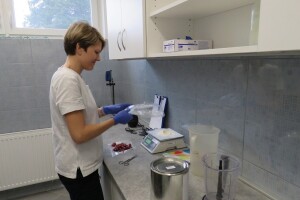Svinjokolja sve rjeđa, prije 10 godina veterinari pregledavali 8.500 uzoraka, ove godine ne očekuju više od 1.500