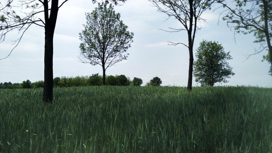 Vrijeme i dalje nestabilno, razvedravanje tek sredinom sedmice