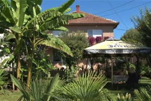 Tropski raj porodice Aćimović širi se svake godine