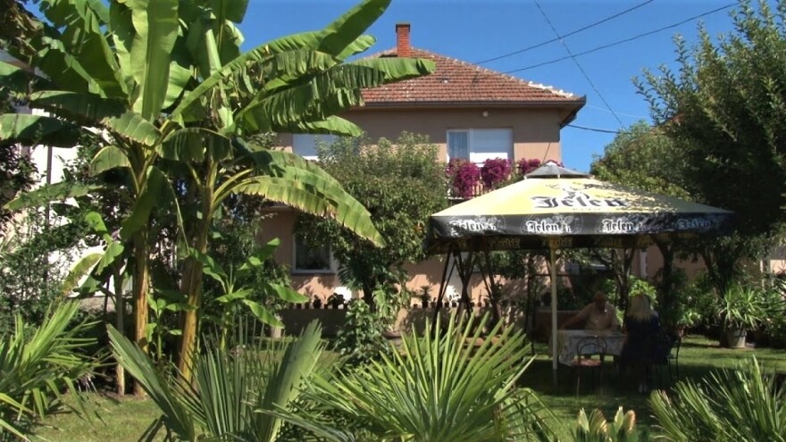 Tropski raj porodice Aćimović širi se svake godine