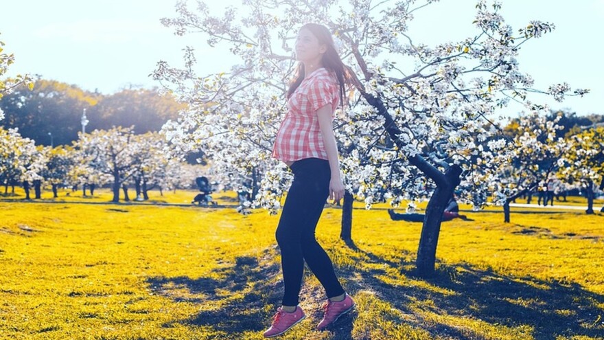 Vlasnice gazdinstava od danas imaju pravo na naknadu za porodiljsko odsustvo