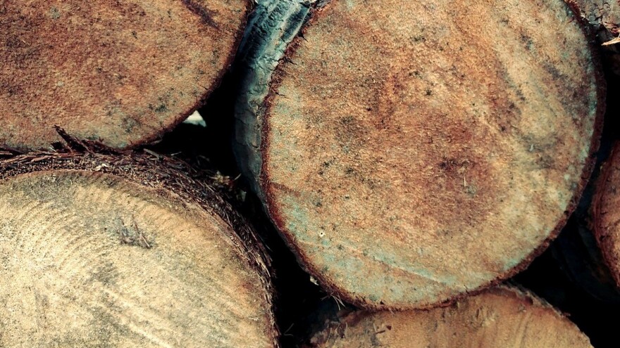 RS i dalje traži zabranu izvoza trupaca, FBiH je za uvođenje taksi