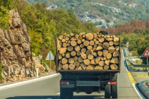 Drvoprerađivači: Izvoz drveta iz BiH treba zabraniti