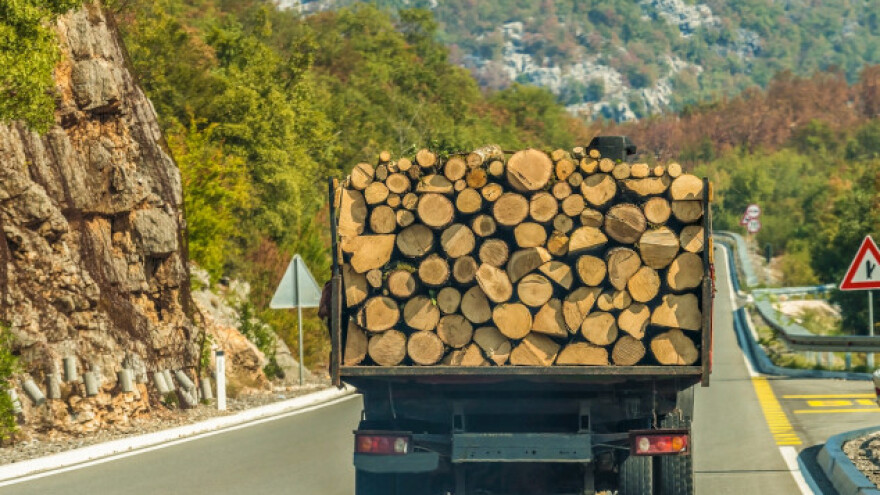 Drvoprerađivači: Izvoz drveta iz BiH treba zabraniti