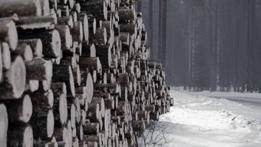 Zabranjen promet trupcima i u Federaciji