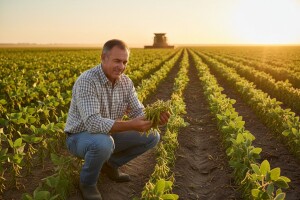 Tržište soje nezadrživo raste!