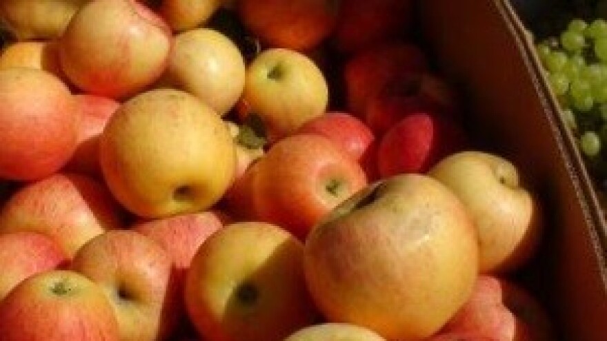 Kumice s placa u raljama fiskalizacije