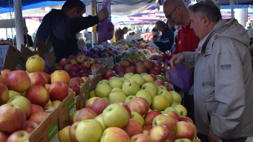 Rod jabuka ove godine manji - koji su razlozi?