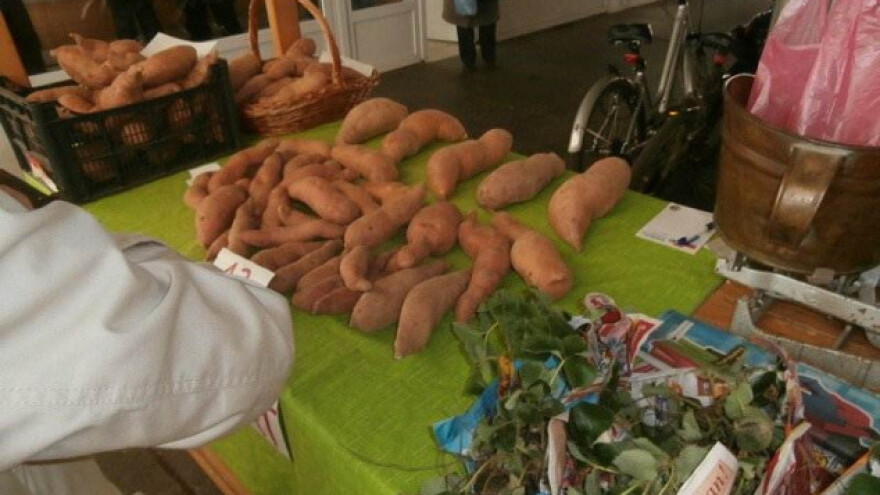 Osijek i Pečuh pokrenuli "domaću hranu za domaće ljude"